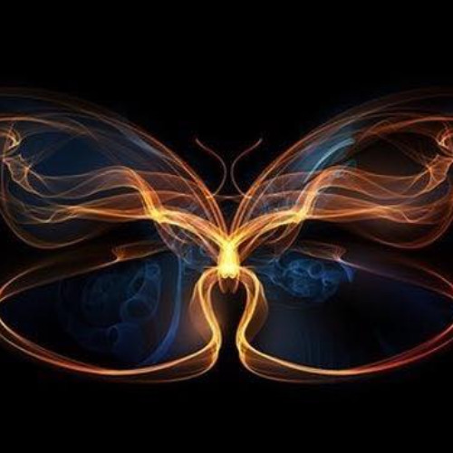 RAA - Safari The Butterfly Experience, Pre-party, Gapahuktechno