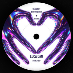 PREMIERE: Luca Dan & LAVY (IT) - Virtual feeling [Sengiley Recordings]