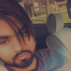 Mere Fan babbu maan