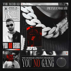 The Behdad Ft. Piltan Emshahi - You No Gang