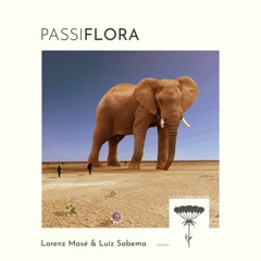 Lorenz Masé & Luíz Sabema - Passiflora