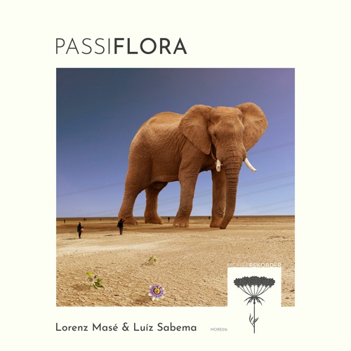 Lorenz Masé & Luíz Sabema - Attic