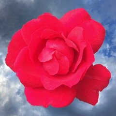 Theme for Carolyn's Art Adventures