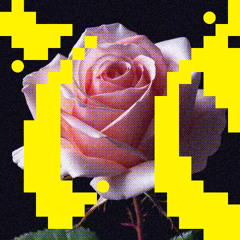 HMWL Premiere: Budakid - Now, There, Forever (Extended Mix) [Flores]