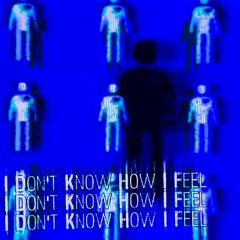 I Don't Know How I Feel (feat. s0lemn & dead.castor)