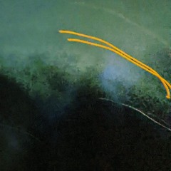 the memory of nature