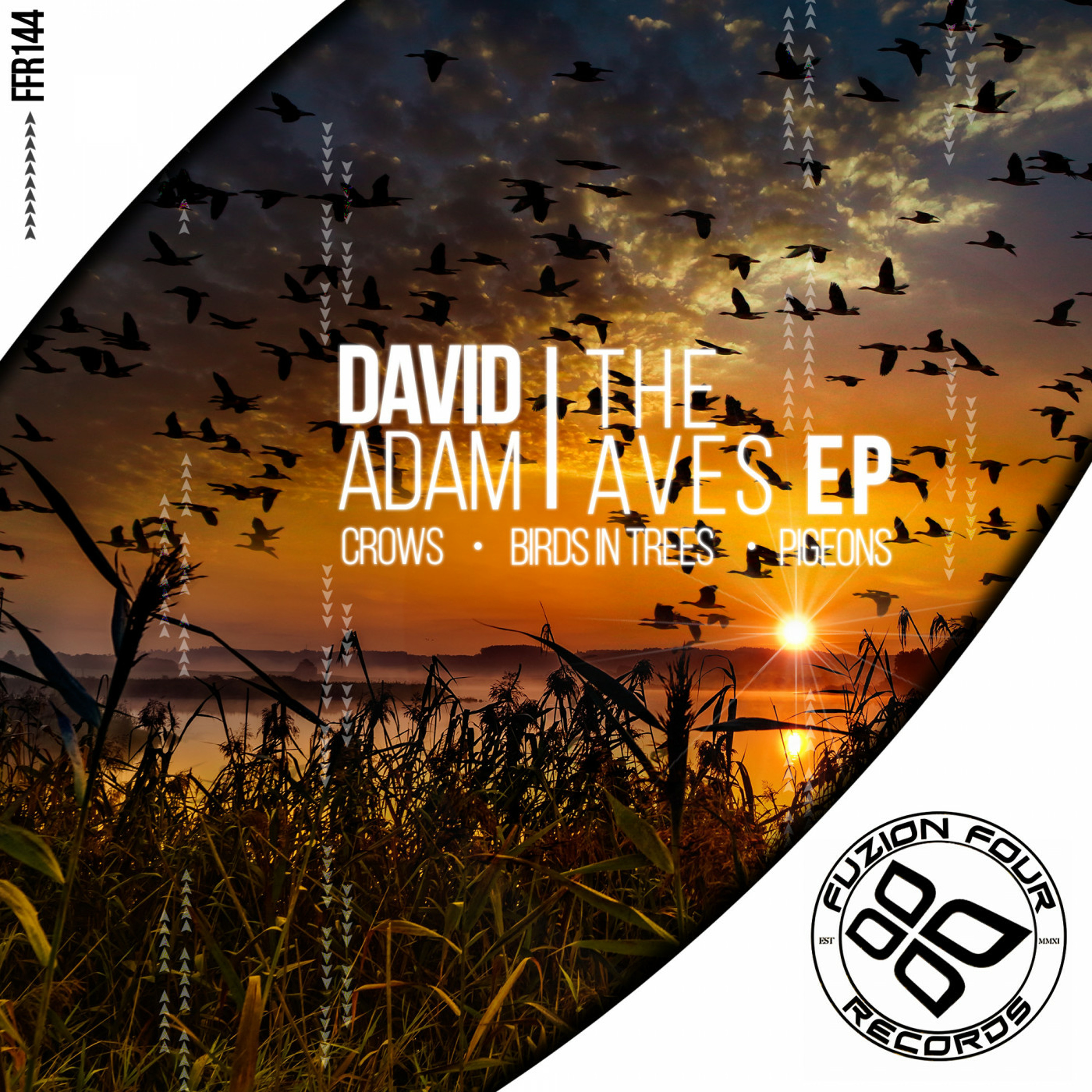 David Adam - Crows episode artwork