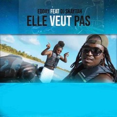 Elle veut pas (feat. DJ Skaytah)