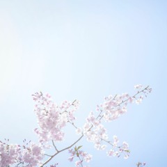 Reset the Mindset - Sharna Cane