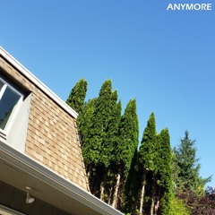 ANYMORE V2