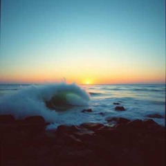 Ride The Wave