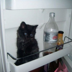 империя зла + mnecky4n0 - два брата разной породы