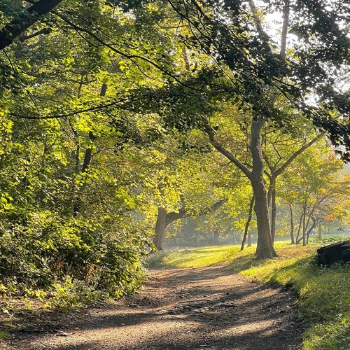 don't run back (with stardante)