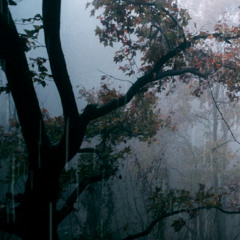 12 Minutes Tongue Drum + Rain