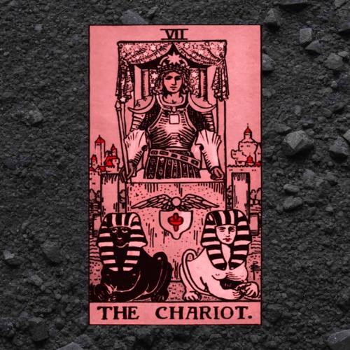 (CHAPTER 8) THE CHARIOT -WALKING WITH ELEPHANTS BY ETNA CALVI