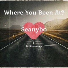 Where You Been At? feat. Shamoney