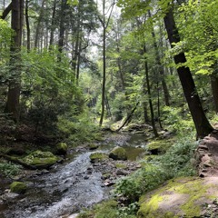 a few more excursions