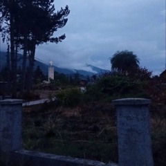 realright - Roots(P.realright) ( Hosted By justrapster )