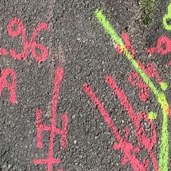 SKYAPNEA w/ Silvestre 271025