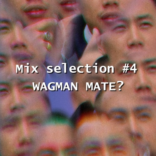 Mix Selection #4 - WAGMAN MATE?