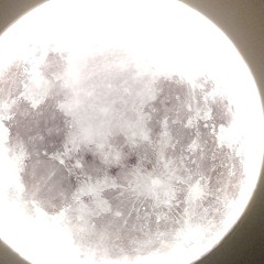 devilplug инвестиции