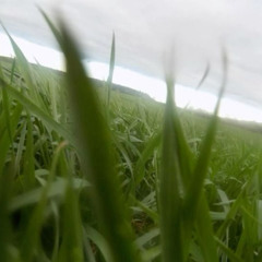 высоко feat.serentranq (prod. clvr)