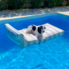 Floating With My Dog