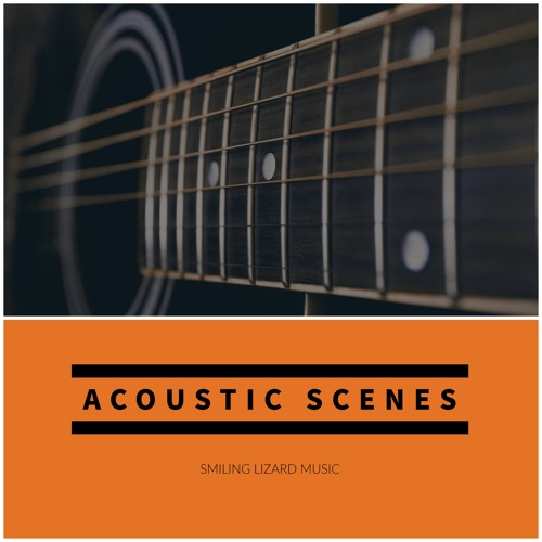Stream Smiling Lizard Music Listen to Acoustic guitar playlist online