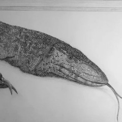 The Nile Monitor [clip]