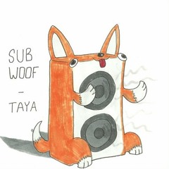 Sufjan Stevens - Run Away With Me (Liquid DnB Remix) [Unfinished]