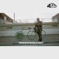 Never Say Ruin X indescribableIndy