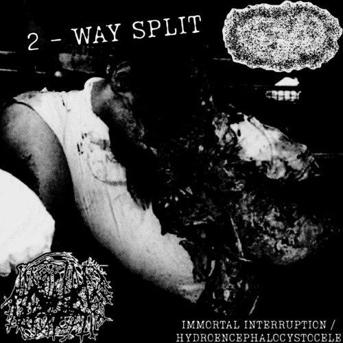 40 Untitled Traxx