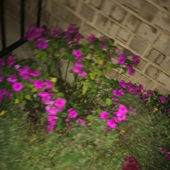 smokingskul - chicken (twovrt)