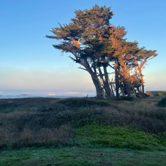 what to say (prod. peril)