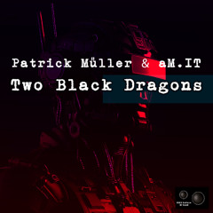 Patrick Müller & aM.IT-Two Black Dragons (Original Mix)