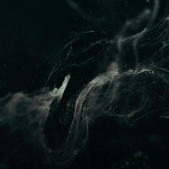 DUPØUY - Lagrima Colectiva