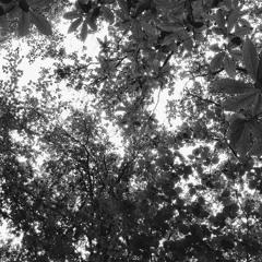 The Cure - A Forest (FPAW Remix)