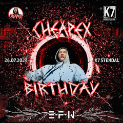 Hochtöner - Cheapex bday promo setcut (K7 Stendal)
