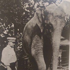 Glass for an Elephant
