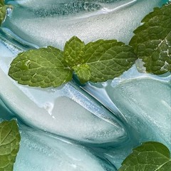 soul mint
