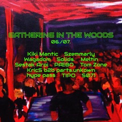 Gathering in the Woods 🌳 2024/06/07