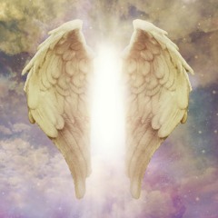 Feathers ( Loush feat Hatoon Idrees )