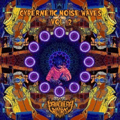 Voices In My Head 220  V​/​A - CYBERNETIC NOISEWAVES II - Pantanera Records