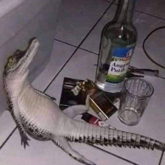 Ritmadinha trajado de Lacoste [tik tok]