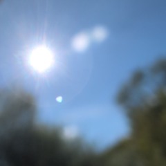 BBBVTBB Thani 19.04.25 Milue