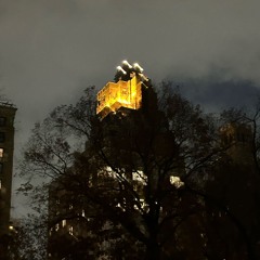 groove.v2(prod.maisonarchive)