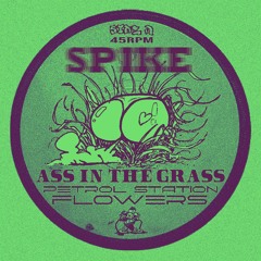 PSF Recommends - Ass in the Grass