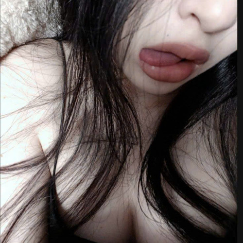 Đóa quỳnh lan - Doa Quynh Lan Mix 2025