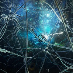 Neurogenesis (Orignal Mix)
