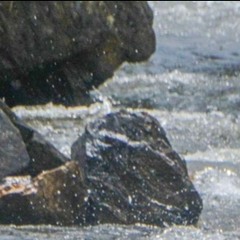 Takemetotheriver p. (everydaysinner)